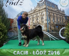 CACIB Łódź_6